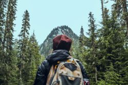 Novice Mount Shasta climbers rescued after relying on Gemini AI to plan trip