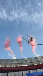 South African airline behind viral stadium flyby cancels repeat display