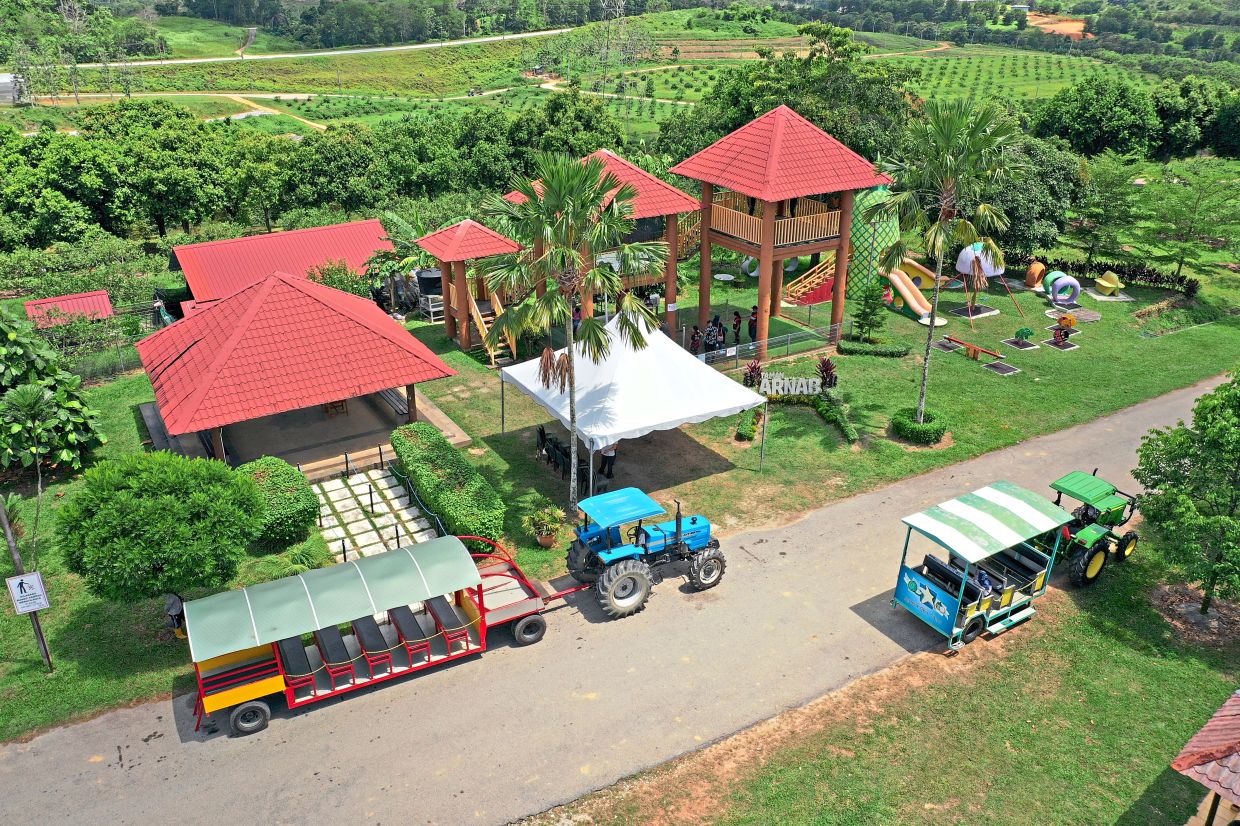 PKPS says it will continue to strengthen development of SFV through facility improvements, with planned attractions like glamping and Rare Fruit Garden to augment attractions such as tractor rides and deer farm 