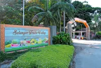 Strong showing for Selangor’s fruits valley agro-tourism initiative