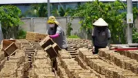 Vietnam paves the way for private sector growth in Dong Thap