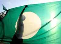PAS has a PM candidate in mind, says Hadi