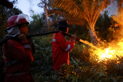 Unchecked businesses blamed for raging wildfires in Indonesia