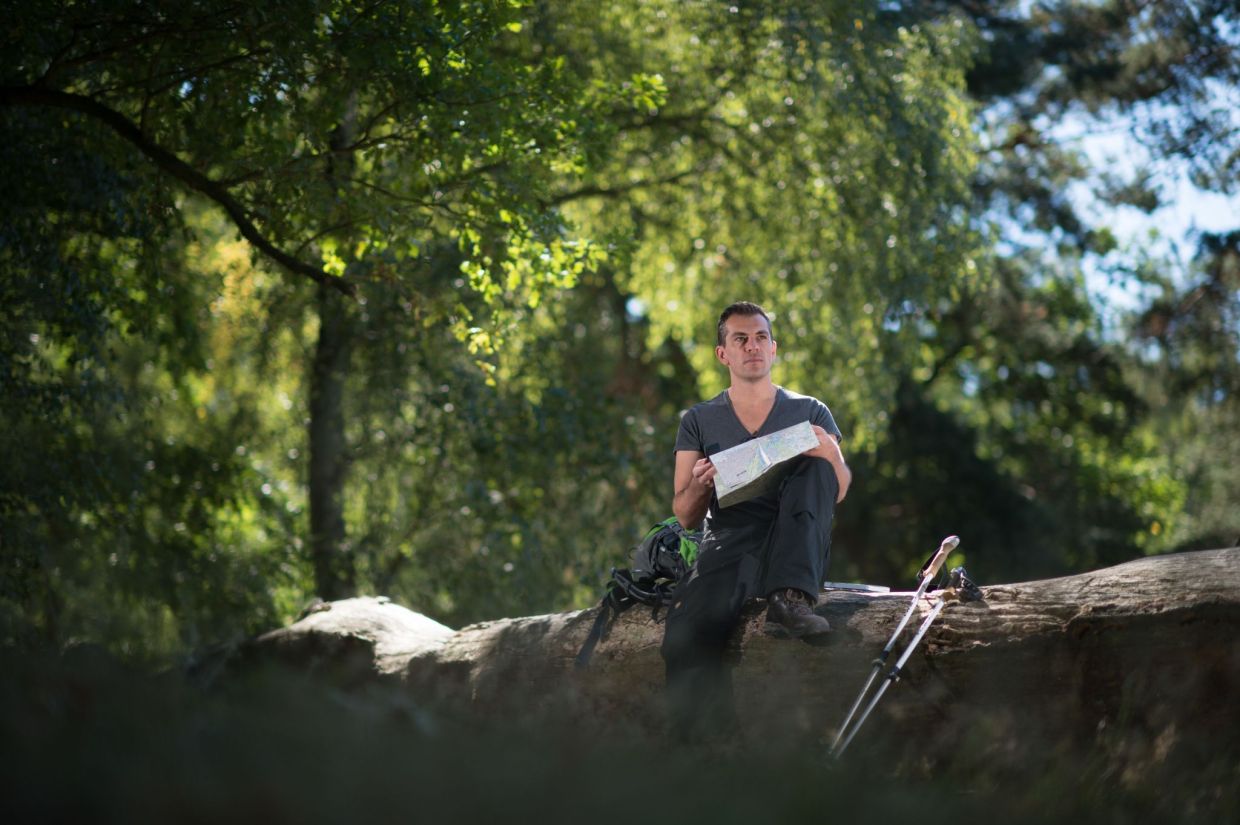 Research shows that birdsong can soothe while traffic noise ramps up stress. — Klaus-Dietmar Gabbert/dpa