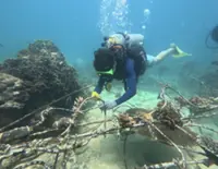 T’ganu to hold talks on Pulau Redang reef damage