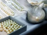Almost a million Myanmar pearls produced in April-August period