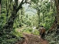 Laos, Singapore sign carbon credits agreement