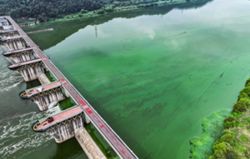 South Korea’s tap water scores well. So why does almost no one drink it?