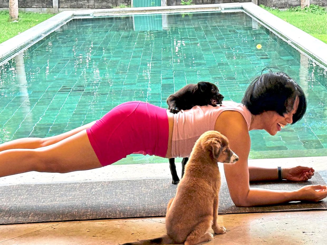 A participant in plank pose while puppies frollick around her.