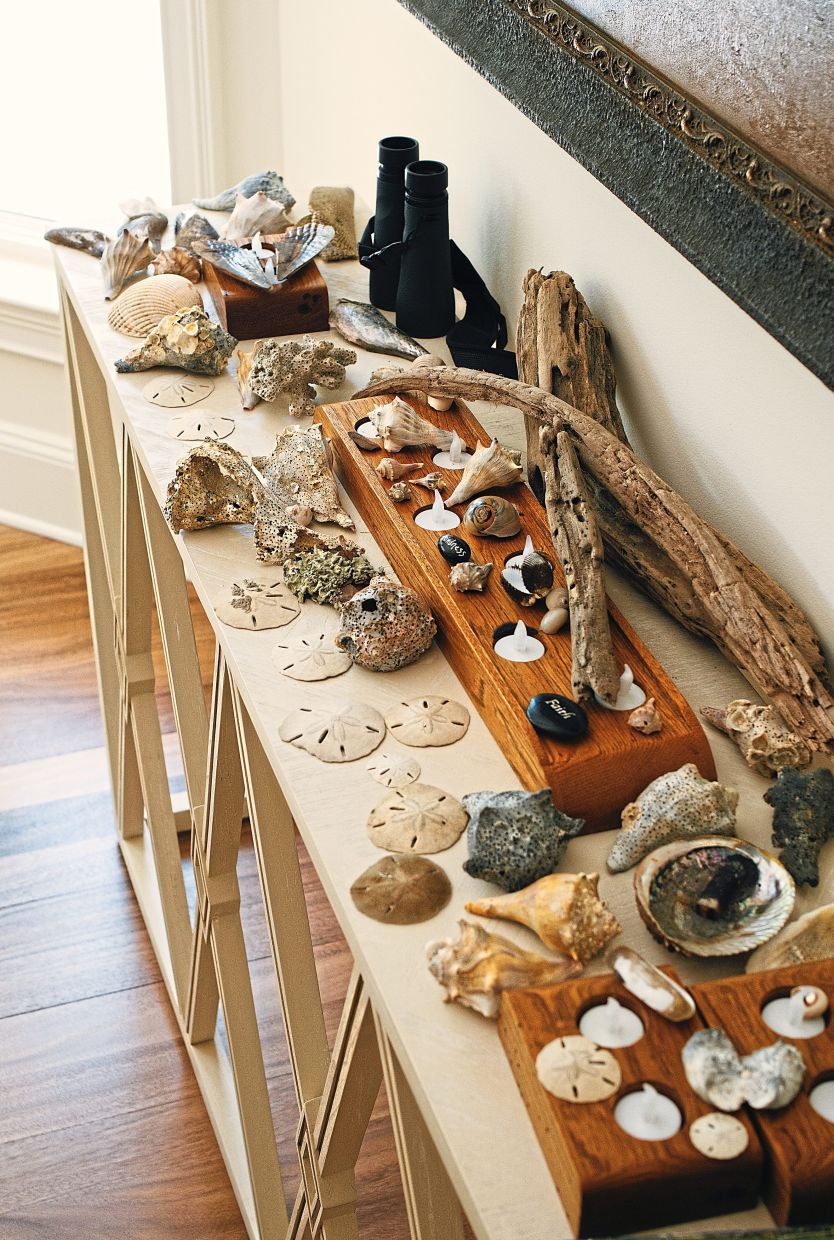 Shells collected by MacDowell during her morning walks on the beach. 