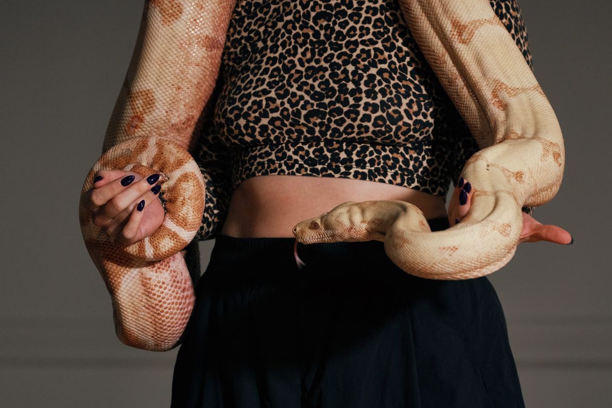 Performance artist Zoe Ziegfeld, who plays the part of a snake charmer, handles a snake during auditions to select a snake for a part in an adaptation of Mozart’s 'Così fan tutte', at the Metropolitan Opera in New York.