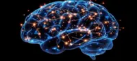 Researchers in Australia uncover pathway controlling timing of brain development