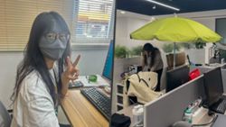 Chinese workers use parasols and sunscreen indoors to combat ‘office ageing’