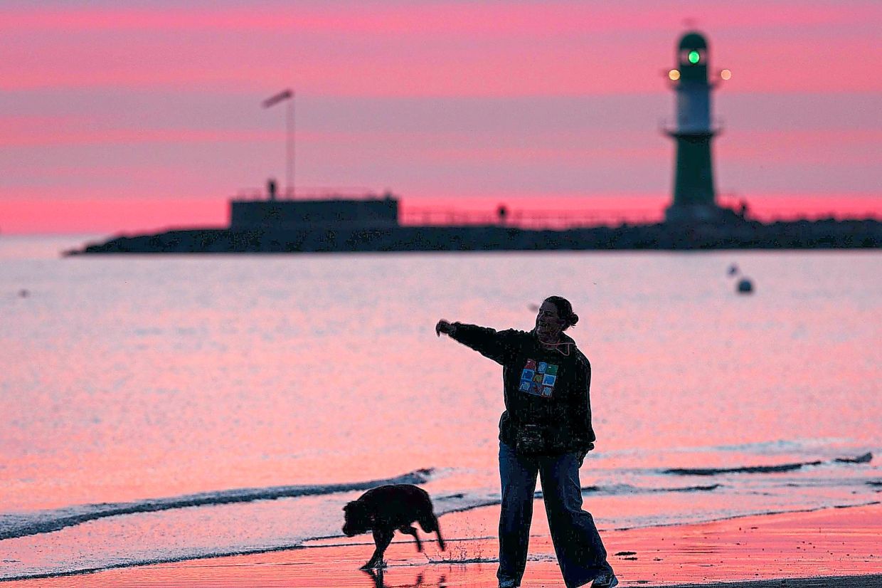 Researchers say dogs have a more nuanced understanding of human emotions than we realise.