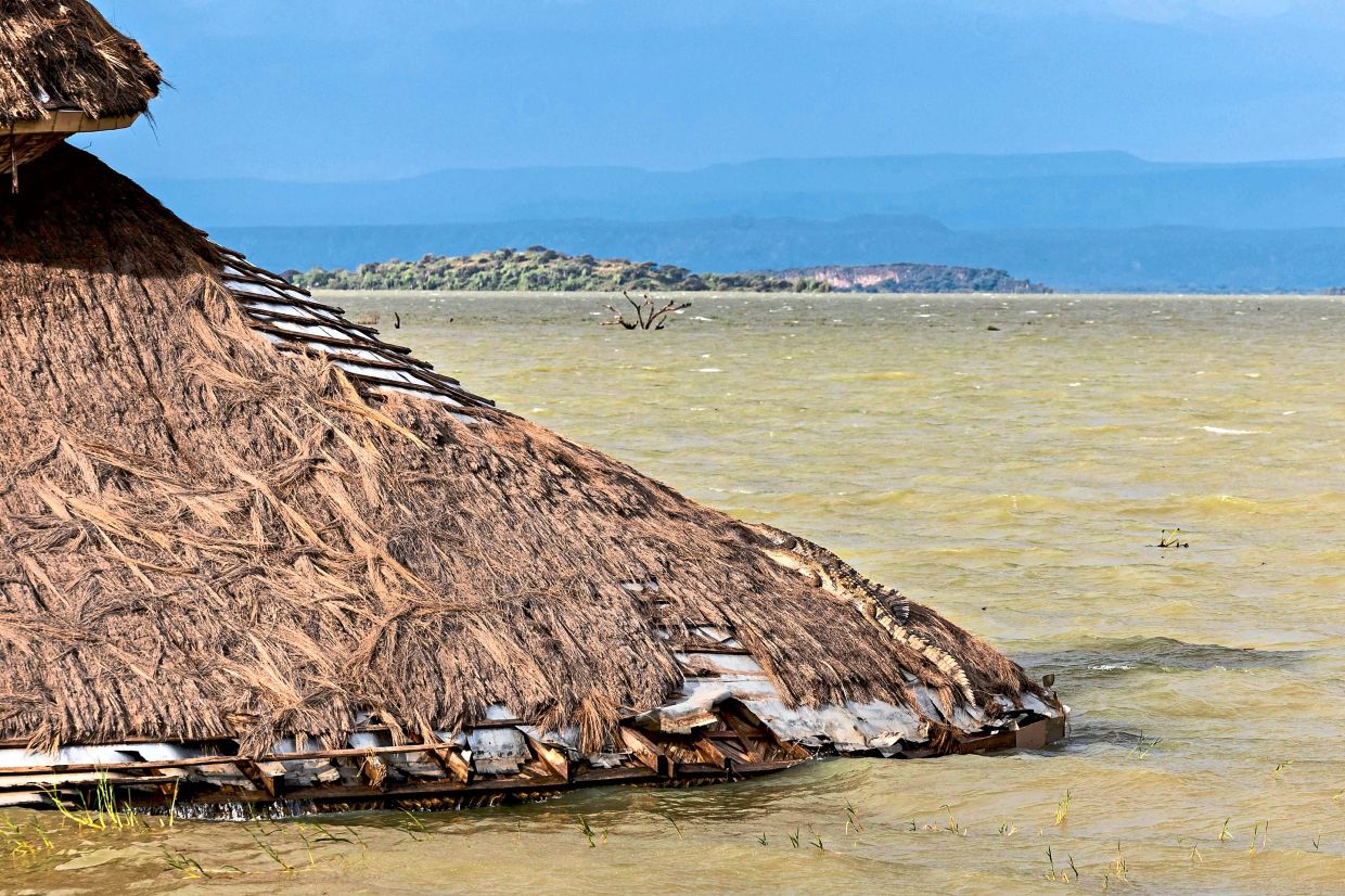 Lake Baringo and other lakes in Kenya's Rift Valley have risen to levels not seen in at least half a century, with scientists attributing the surge to extreme rainfall linked to climate change.