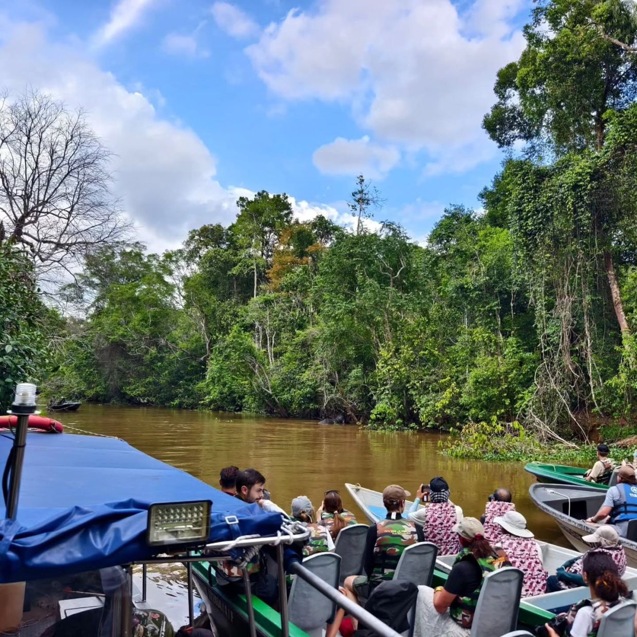 Visitors stopping their boat ride to look at elephants last year.