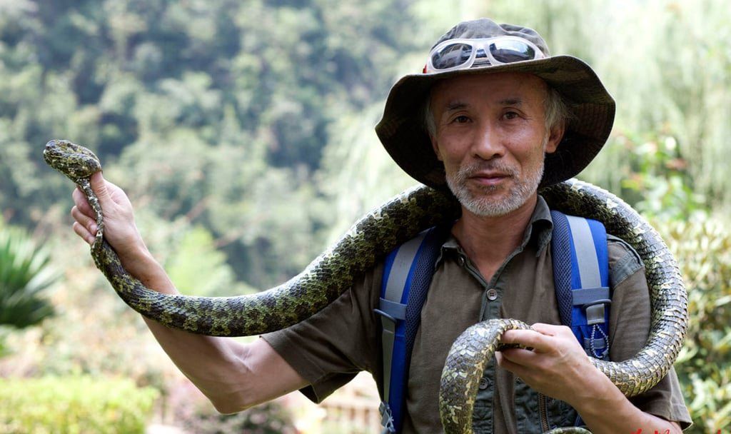 Though his wife frequently argued and threatened divorce over his dangerous work, she stayed after witnessing his unwavering passion for the species. -- Photo: voc.com.cn via SCMP