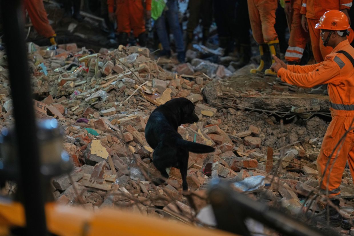 A rescue worker and dog search for survivors trapped under the debris of a collapsed building in New Delhi, on Sunday, Sept. 6, 2026. -- AP Photo/Rajesh Kumar Singh