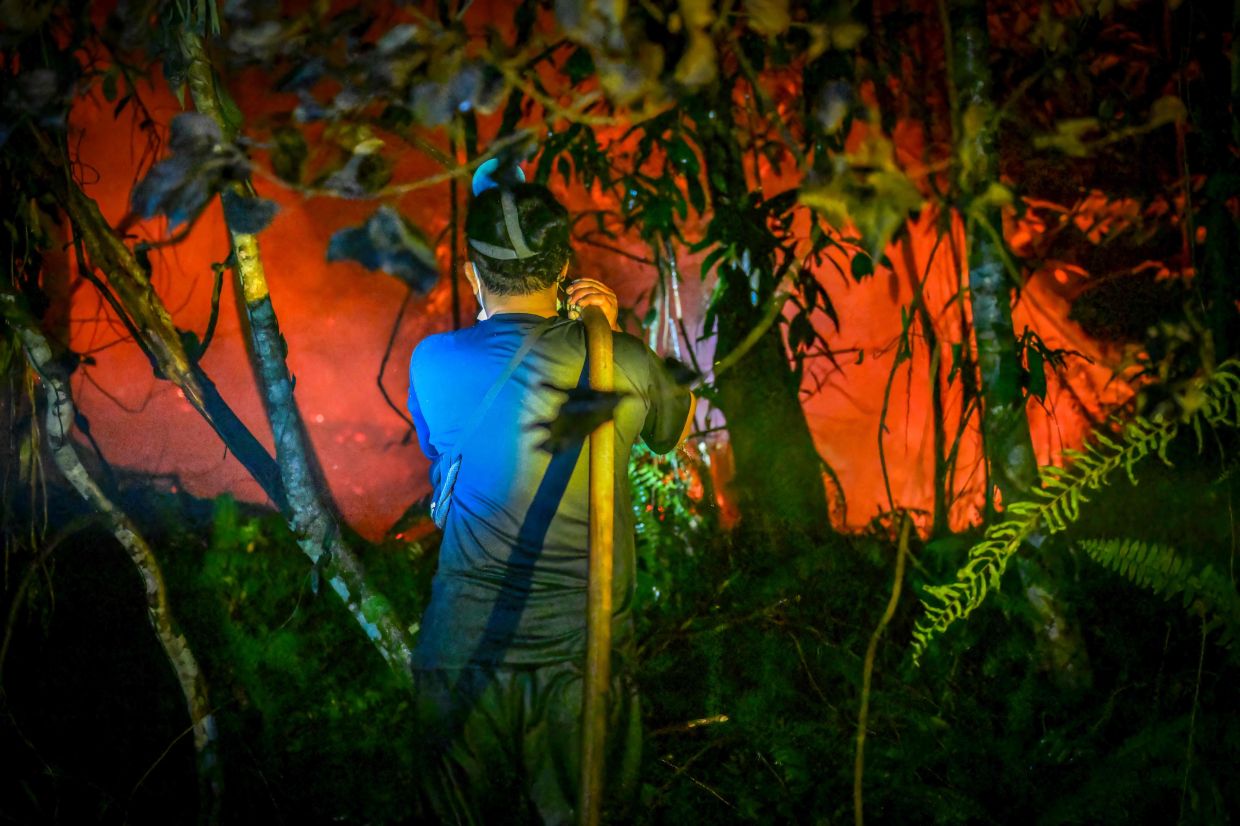 A villager douses a fire with water to extinguish it on a palm oil plantation in Lintang Batang village, Kubu Raya, West Kalimantan. -- Photo by BAY ISMOYO / AFP