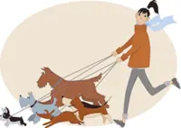 How to choose a dog daycare and walker for your pet's comfort and safety