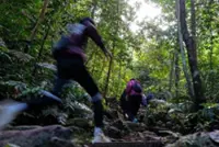 14 forestry mountain guides join search for missing hikers