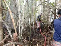 Bomba still battling 17ha peat soil fire in Pengerang, 40% put out so far