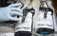 Managing rare blood types needs accurate matching, says doc