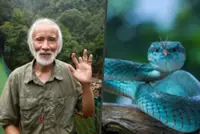 China ‘Snakeaholic’ dedicates life to studying, protecting snakes despite losing finger