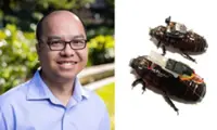 Vietnamese scientist turns cockroach into search-and-rescue 'cyborg'