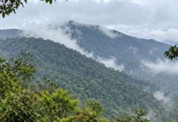 Six missing hikers in Lojing rescued