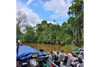 Give wildlife room to roam, tourists urged as Sabah gears up for more visitors