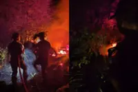 Fire breaks out across 2.4-hectare forest site near FRIM in Bidor