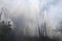 Australia braces for its own fire season after sweltering European summer