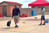 In the US, some dog trainers help pets avoid venomous snakes