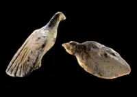 Ice Age art: Tiny 40,000-year-old ivory bird figurines discovered in German cave