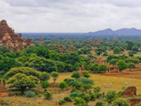 Myanmar designates new protected public forest area in eastern state