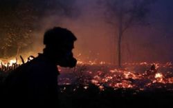 Nearly 900 hectares land, forest fires still burning in Indonesia