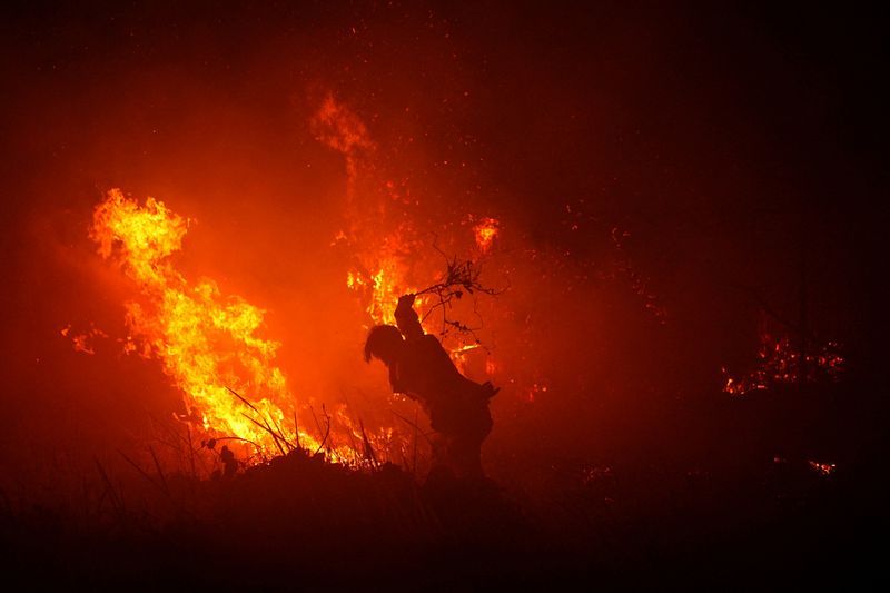 Indonesian wildfire emissions surge to world's highest, data shows