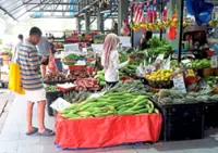 Johor fruit production unaffected by haze so far