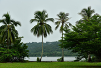 Air quality improves across Brunei