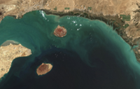 14 Filipino seafarers return home after Strait of Hormuz tanker attack