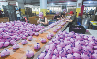 Squeezable toys relieve student, staff stress