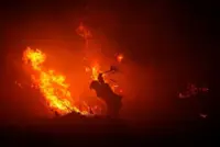 Indonesian wildfire emissions surge to world's highest, data shows