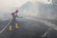 Indonesian wildfire emissions surge to world's highest, data shows