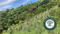 Restoration sees wildlife returning to Hong Kong mountain slopes