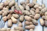 Gut microbiome transplant can help patients with peanut allergies