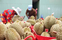 Vietnam targets digital mapping for 70 per cent of raw material areas by 2030