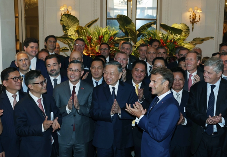 杜林呼吁采取突破性行动，提升越法经济合作水平