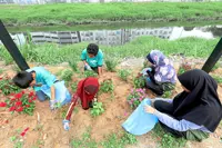 Seeds of friendship bloom into a community harvest