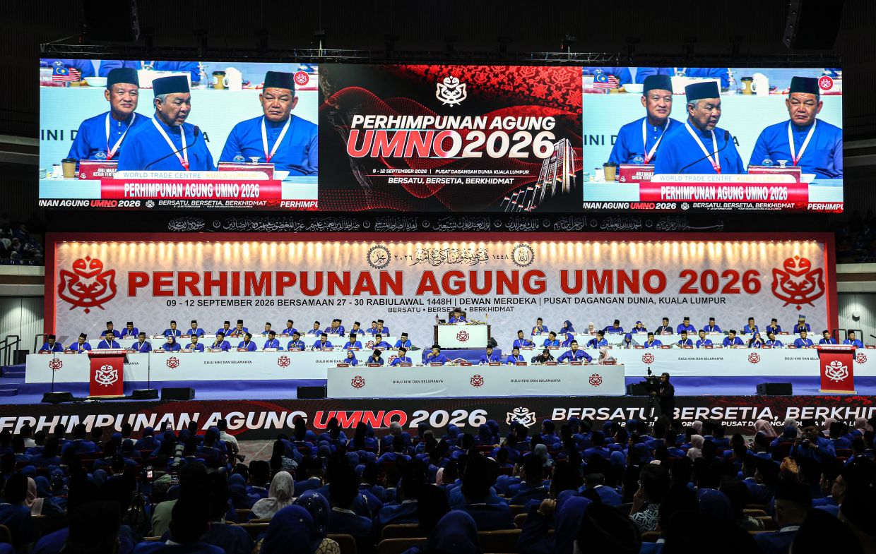 Differences aside, Umno will remain professional, says Zahid